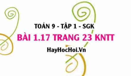 Bài 1.17 trang 23 Toán 9 tập 1 Kết nối tri thức SGK